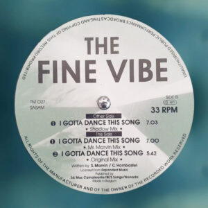 the fine vibe gotta dance this song trance mission