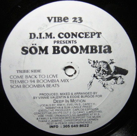 dim concept vibe records