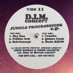 DIM jungle progressions vibe records